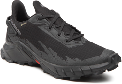 Salomon Alphacross GTX precio