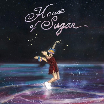 (Sandy) Alex G-House Of Sugar VINYL NUEVO
