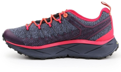 Salewa Women's Dropline GTX pink ombre blue/virtual pink precio