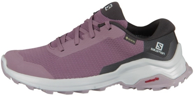 Salomon X Reveal GTX flint / black / quail