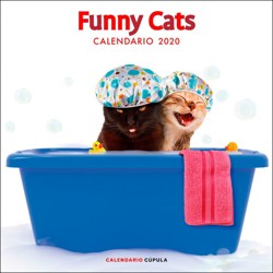 Calendario funny cats 2020 precio