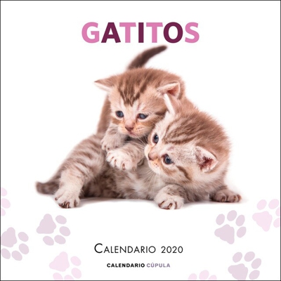 Calendario gatitos 2020