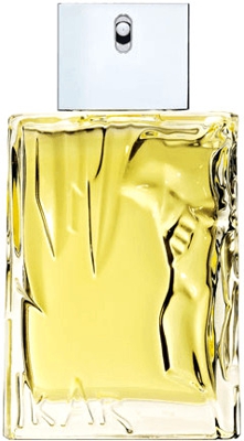 EAU D'IKAR eau de toilette vaporizador 100 ml