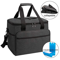 ALLCAMP 30L Bolsa Isotermica de Almuerzo Nevera Portatil para Alimentos Frutas,Porta de Comida con Forro Plástico Aislamiento Térmico,Genial para Play precio