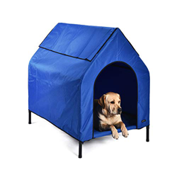 AmazonBasics - Caseta para mascotas, elevada, portátil, mediana, azul en oferta