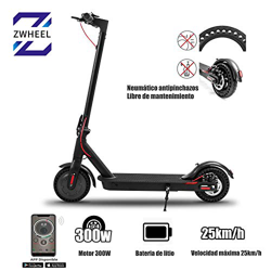ZWheel Patinete Eléctrico E9 Basic ZLion 25 km/h 300W Motor Patinete eléctrico con Accesorios… (E9B) características