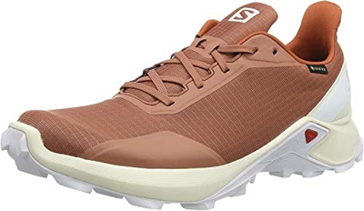 Salomon Alphacross GTX, Zapatillas de Trail Running para Hombre, Gris (Cedar Wood/Vanilla Ice/White), 42 EU