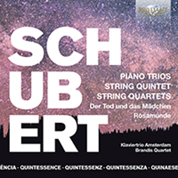 Quintessence Schubert: Piano Trios (5 CD) precio