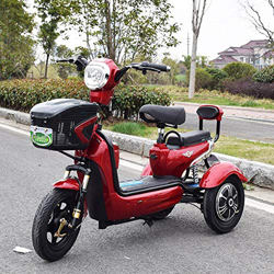 Adulto Scooter móvil eléctrico de Tres Ruedas Scooter Verde Bicicleta ecológica 48V20A,Red precio