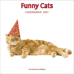 Calendario funny cats 2021 características