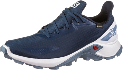 Salomon Alphacross Blast Gtx blue/white (L41106000)