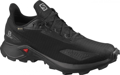 Salomon Alphacross Blast Gtx black (L41105300)