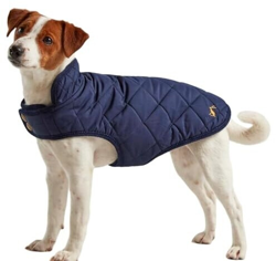 Joules Clothing Quilted Navy Pet Coat precio