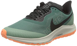 Nike W Zoom Pegasus 36 Trail GTX, Zapatillas de Running para Mujer, Bicoastal/Off Noir/Silver Pine, 40 EU precio