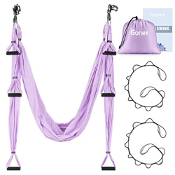 Gonex Hamaca Yoga Antigravedad, Yoga aéreo Hamaca Swing Yoga Trapecio Plano para Pilates Gimnasia Gimnasio Fitness, Yoga Swing Set antigravedad con Co precio