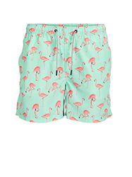 Jack & Jones Jjiaruba Jjswimshorts AKM Animal STS Bañador para Hombre, Brook Green, XL características