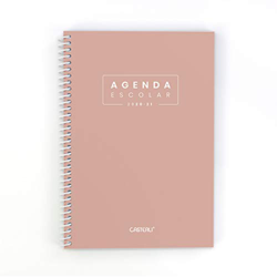 Casterli - Agenda Escolar 2020-2021 Basic Edition - Semana Vista, Tamaño A5 (Rosa) precio