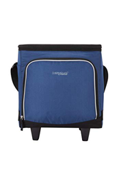 Thermos - Bolsa térmica (poliéster, tamaño Mediano), poliéster, Azul Marino, 28 Litre características