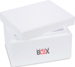 Caja térmica de poliestireno con tapa – Caja térmica para alimentos y bebidas – Nevera de poliestireno y caja térmica (31 x 25 x 18,5 cm – 5,93 l de v características