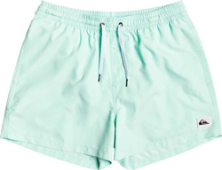 Quiksilver Everyday 15 Swim shorts (EQYJV03531) beach glass características
