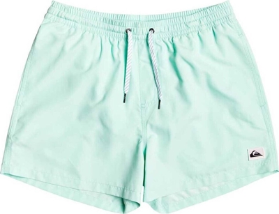 Quiksilver Everyday 15 Swim shorts (EQYJV03531) beach glass