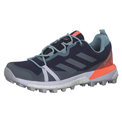 adidas Terrex Skychaser Lt GTX W, Zapatillas Deportivas para Mujer, Tech Indigo Dash Grey Signal Coral, 40 EU precio