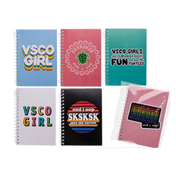 Cuaderno Vsco Girl características