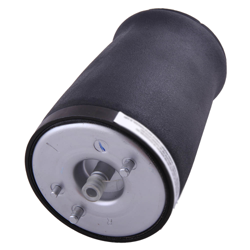 Aire Resorte Suspension Neumatica Trasero Derecha para BMW 5 ser E39 Touring en oferta
