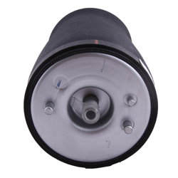 Bolsa de suspensión de muelle neumático trasero izquierdo para BMW 5 ser (96-03) E39 520-540 37121094613 características