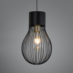 Lámpara colgante Dave, 1 luz, negro en oferta