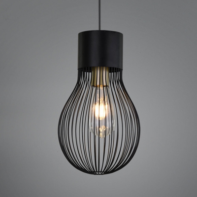 Lámpara colgante Dave, 1 luz, negro