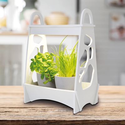 Lámpara de mesa LED Garden, crecimiento, 36 cm