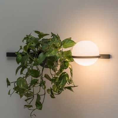 Vibia Palma 3702 aplique, plato planta, grafito