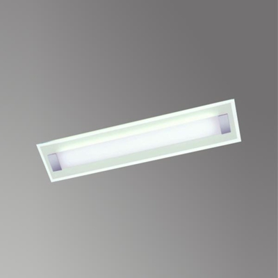 Lámpara de techo LED Xena L con ESG