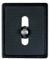 Vanguard QS-39 precio