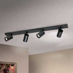 Foco de techo Sean, 4 luces, negro características