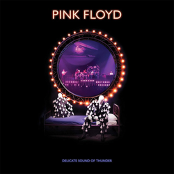 Delicate Sound Of Thunder (Blu-Ray + 2 CD + DVD) precio