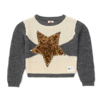 AO76. Stars Sequined Jumper Grey