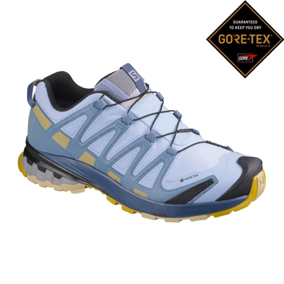 Salomon - Zapatillas De Montaña De Mujer XA Pro 3D V8 Gore-Tex