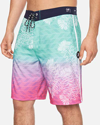 Hurley M Phtm Sz Wailehua 20' características