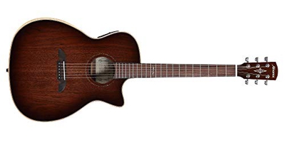 Alvarez Agw77Cear Acustica+ Armrest