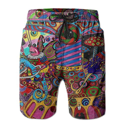 Kay Sam Nuevos Pantalones de Playa para Hombres Coloridos psicodélicos Trippy Art, Pantalones Cortos para Playa, bañadores características
