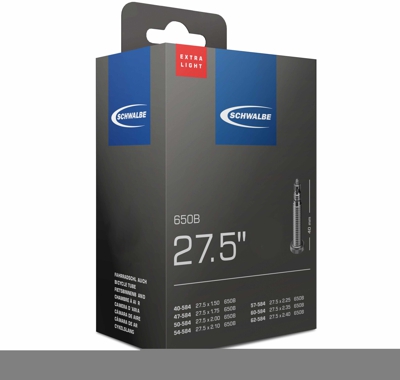 Schwalbe SV 21 A