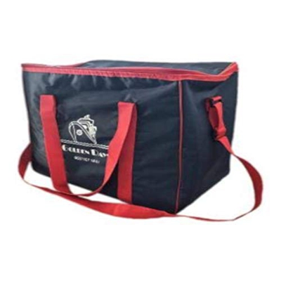 EUROXANTY® Nevera isotérmica portátil | Ligera | Plegable | Aislante | Impermeable | Nevera Golden Days | 40 x 35 x 25 cm