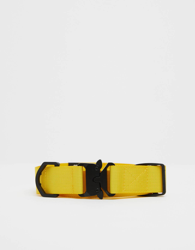 Bershka Cinturón Lona Hombre Mostaza precio