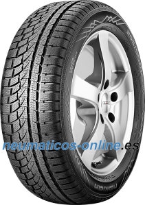 Invierno Nokian WR A4 225/45 R19 96V XL