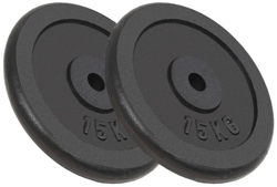 VidaXL 2 weights of 15 kg características