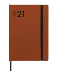 Finocam - Agenda 2021 1 Día página Dynamic Mara Marrón Español precio