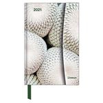 Agenda anual 2021 Tenues magneto Botanical 10x15 cm