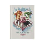 Agenda Sd Toys 2021 Harry Potter Grynffindor emblema en oferta